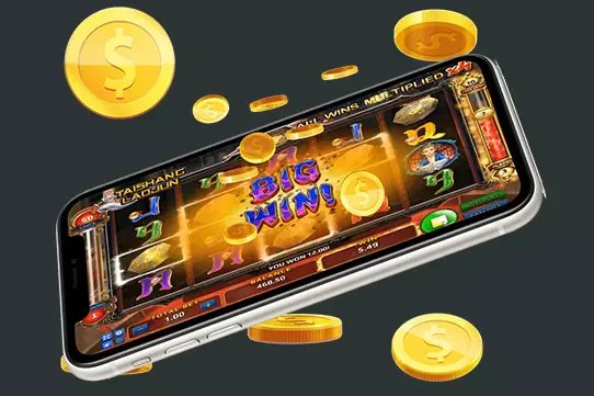 bet 03